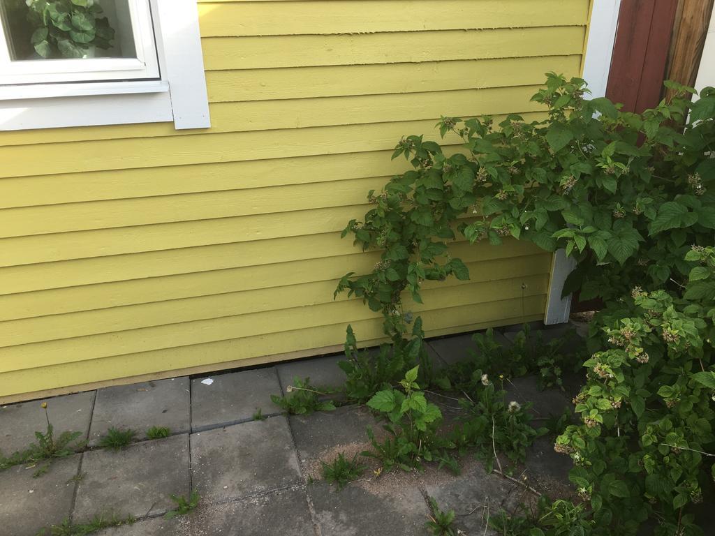 Augustas Bed & Breakfast Rättvik Kültér fotó